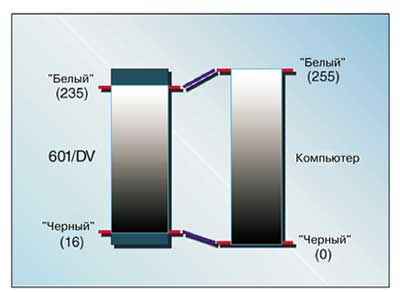 29_graphic4.jpg 29_graphic4.jpg