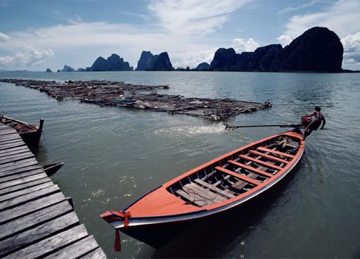 bitmap1.jpg bitmap1.jpg