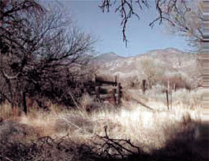 29_pict-3.jpg 29_pict-3.jpg