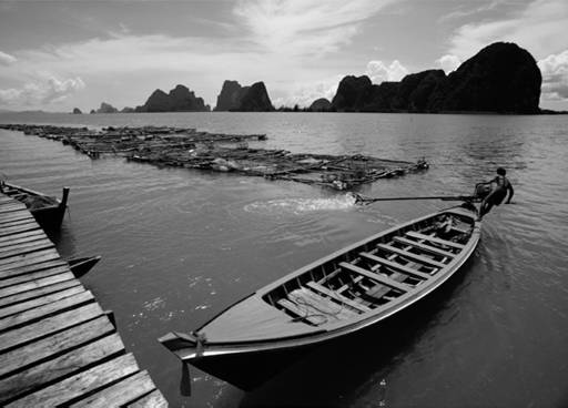 grayscale.jpg grayscale.jpg