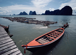 indexed256.gif indexed256.gif