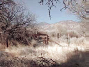 29_pict-1.jpg 29_pict-1.jpg