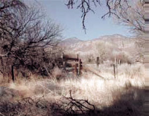 29_pict-2.jpg 29_pict-2.jpg